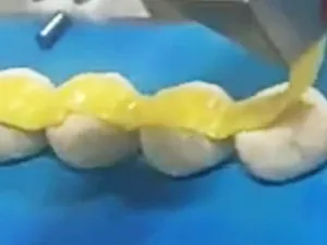 مربى الفواكه