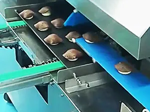 ماكينة تغطية خبز الأناناس بالطبقة العلوية